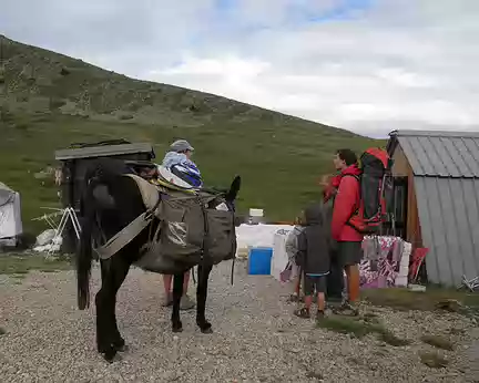 PXL042 on accueille aussi les voyageurs avec âne et bagages